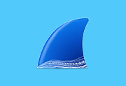 Wireshark中文版(网络抓包工具) v4.6.0 多语便携版-绿软仓库