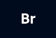 Adobe Bridge 2025(BR2025破解版) v15.1.1.729 直装破解版-绿软仓库